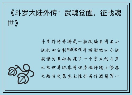 《斗罗大陆外传：武魂觉醒，征战魂世》