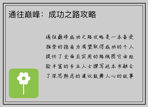 通往巅峰：成功之路攻略
